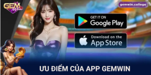 Tổng quan về nền tảng Gemwin