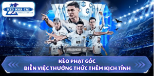 Kèo Nhà Cái Trực Tiếp: Cẩm Nang Theo Dõi Và Đánh Giá